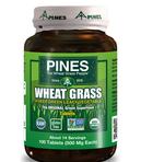 A bottle of pines wheat grass tablets